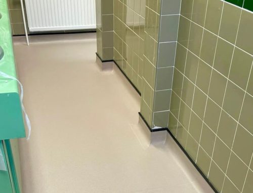 Commercial Toilet Block Safety Flooring